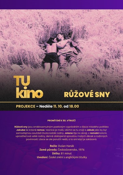 Plakát události Tukino 2026 / Projekce Růžové sny + diskuze s Ivou Bittovou
