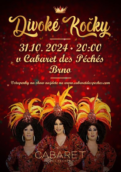 Plakát události Travesti show - Divoké kočky
