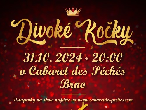 Plakát události Travesti show - Divoké kočky
