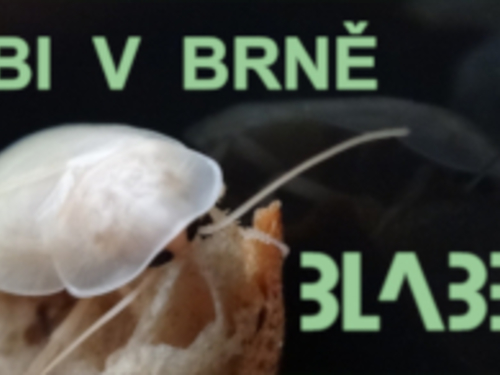 Vlastní kolonie švábů? Jak na to? Poradenství zdarma.