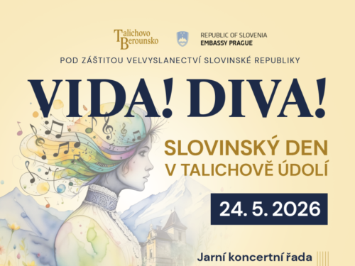 Plakát události Vida! Diva!