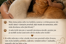 Hlídání domácích mazlíčků.