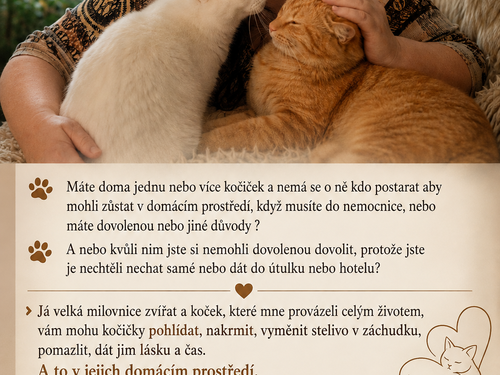 Hlídání domácích mazlíčků.