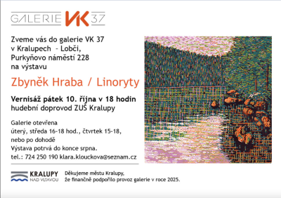 Plakát události Galerie VK37 Zbyněk Hraba