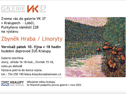 Plakát události Galerie VK37 Zbyněk Hraba
