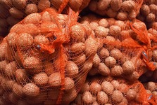 Prodej brambor konzumních - červená odrůda z Vysočiny