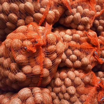 Prodej brambor konzumních - červená odrůda z Vysočiny