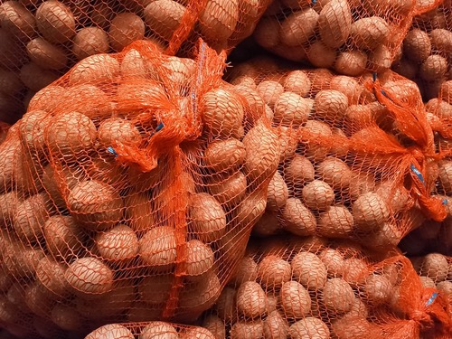 Prodej brambor konzumních - červená odrůda z Vysočiny