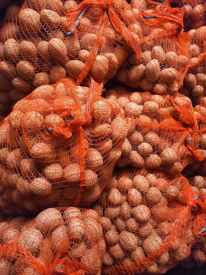 Prodej brambor konzumních - červená odrůda z Vysočiny