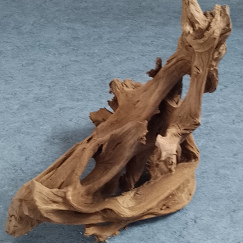 Kořen - unikátní, prostorový - import - nehnije.