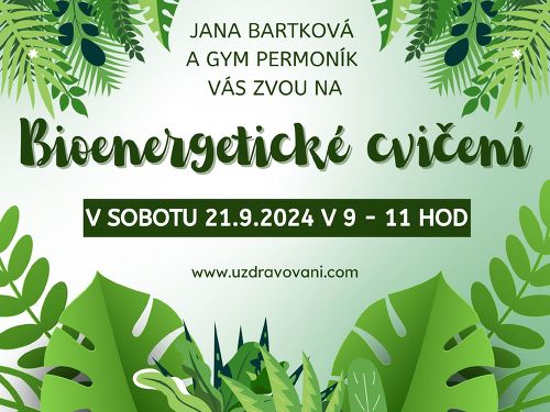 Plakát události Workshop Bioenergetické cvičení