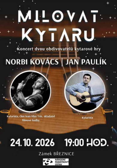 Plakát události Milovat kytaru