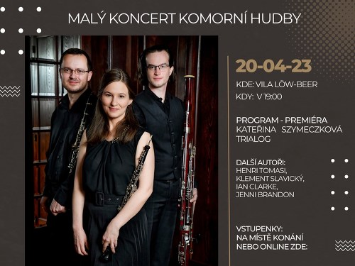 Plakát události Malý koncert komorní hudby