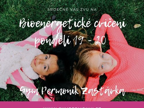 Plakát události Bioenergetické cvičení