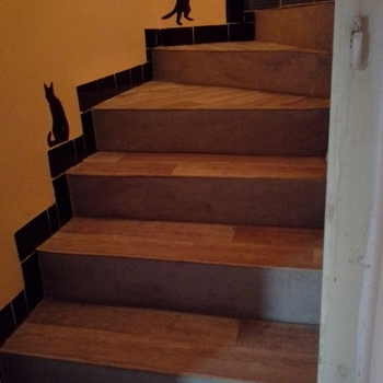 Dům s potenciálem 4+1 a pozemkem 1140 m2 oblast JESENÍKY