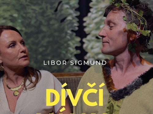 Plakát události Dívčí válka