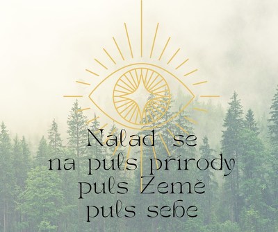 Plakát události Lesní ladění se zvukovou koupelí