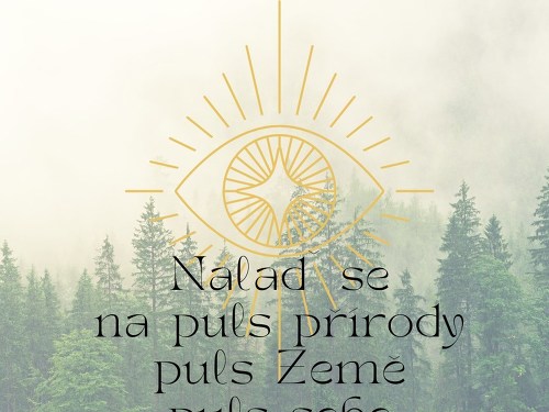 Plakát události Lesní ladění se zvukovou koupelí