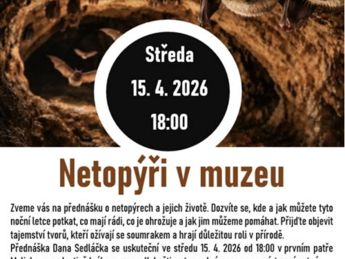 Plakát události Netopýři v muzeu
