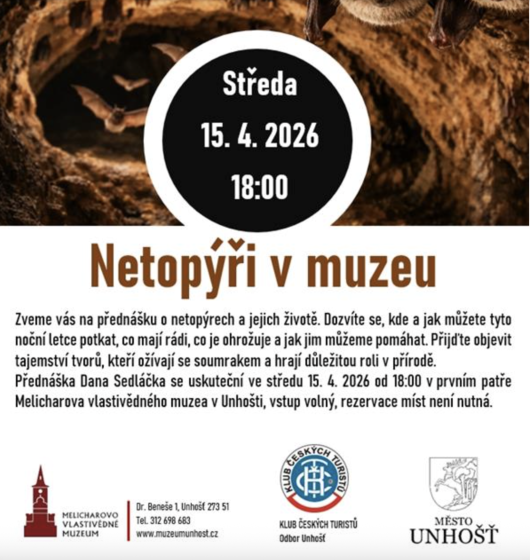Plakát události Netopýři v muzeu