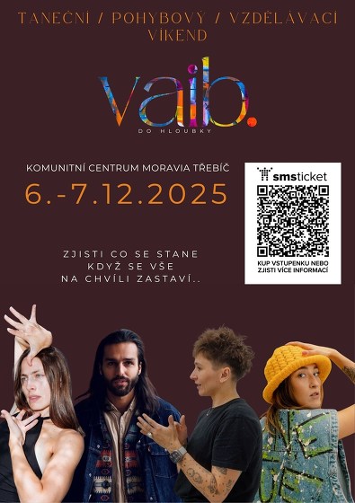 Plakát události Vaib 2025 / Do hloubky