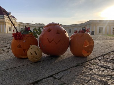 Plakát události Zámecké dýňobraní