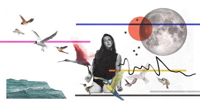 Plakát události NOT A SWAN