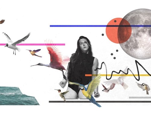 Plakát události NOT A SWAN