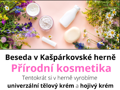 Plakát události Beseda - Přírodní kosmetika
