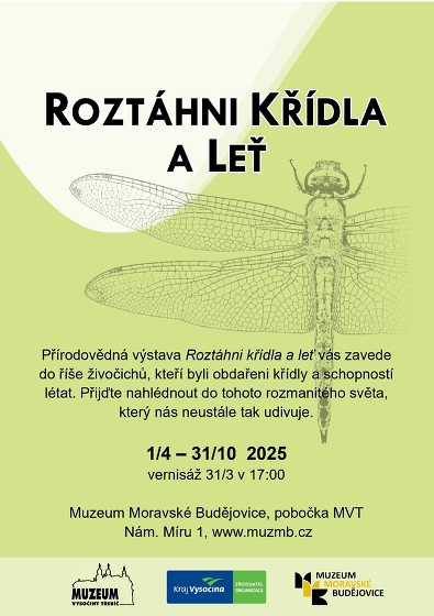 Plakát události Výstava: Roztáhni křídla a leť
