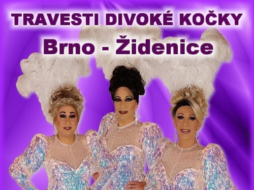 Plakát události Travesti Divoké kočky