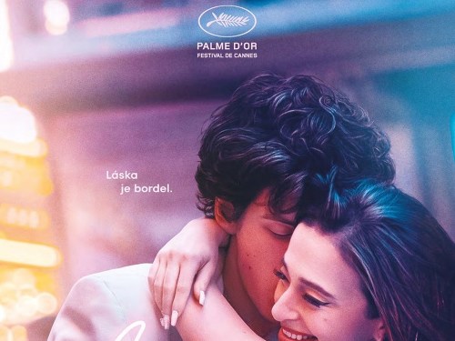 Plakát události Anora - Letní kino Litoměřice