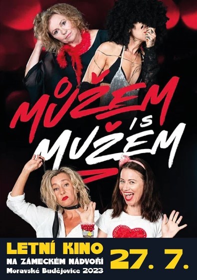 Plakát události Letní kino: Můžem i s mužem