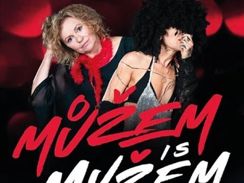 Plakát události Letní kino: Můžem i s mužem