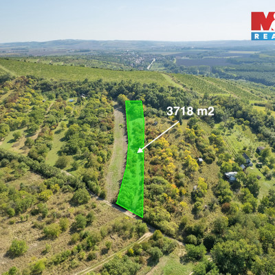 Prodej zahrady, 3718 m², Židlochovice