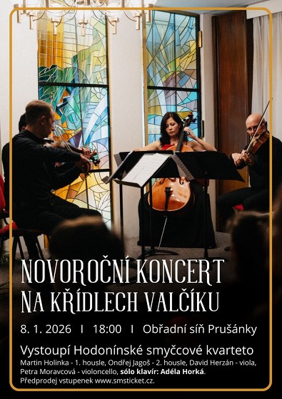 Plakát události Novoroční koncert 