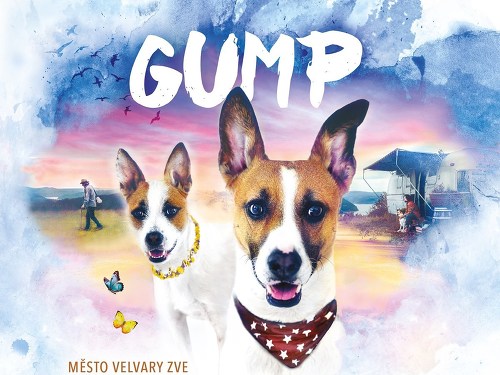 Plakát události Gump - jsme dvojka