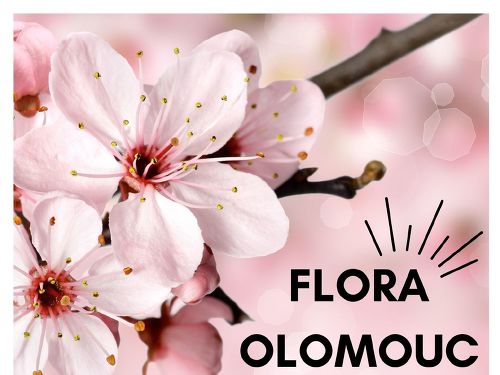 Plakát události Zájezd: Flora Olomouc
