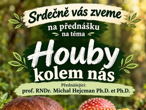 Plakát události Přednáška 