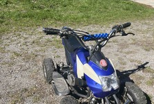 Čtyřkolka dětská 50 cm3 benzín prodám Vyškov
