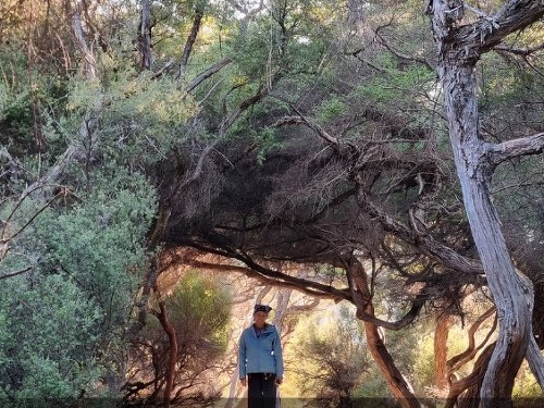 Plakát události Cesta kolem světa za 28 dní