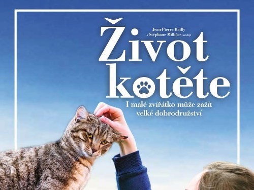 Plakát události Letní kino: Život kotěte