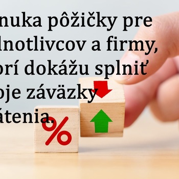 P onuka pôžičky pre jednotlivcov a firmy