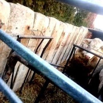 Peníze šetří prazce betonove náhrada drahého betonu