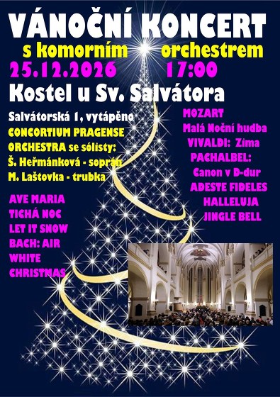 Plakát události Vánoční koncert s Consortium Pragense Orchestra