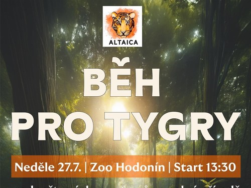 Plakát události Běh pro tygry