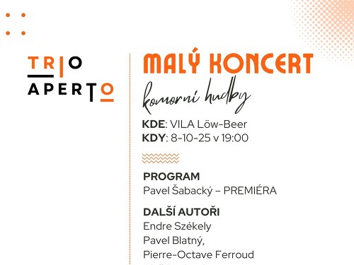 Plakát události Malý koncert komorní hudby