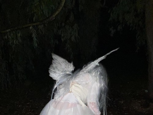 Plakát události koncert: ivy z x Fæ Bestia