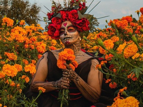 Plakát události Día de los Muertos v Brně