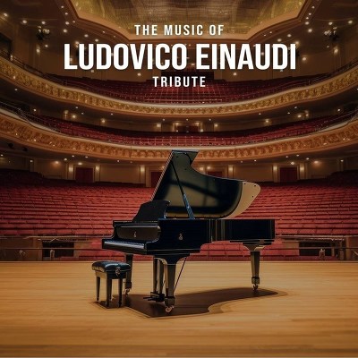 Plakát události Ludovico Einaudi Music | Louny